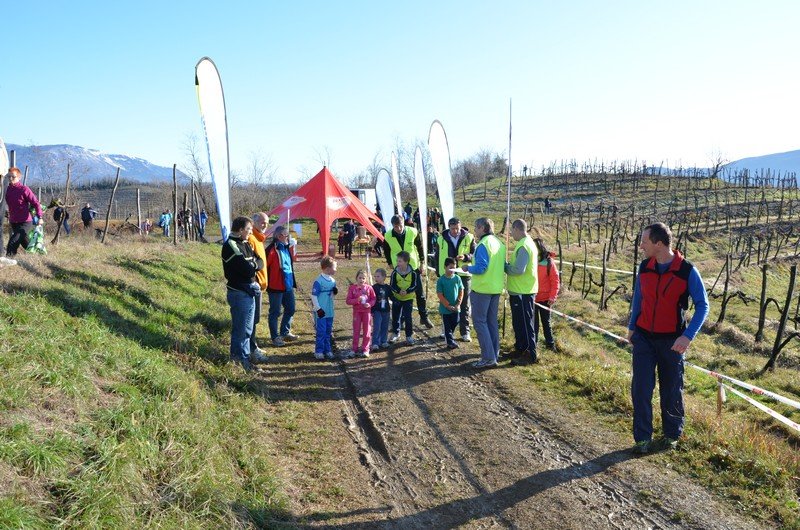 Tek Biljanski gri 269 i 027